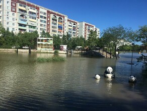 Вода потихоньку отступает Благовещенск приходит в себя после погодного катаклизма фото видео