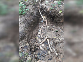 Пошла по грибы  нашла кости Благовещенка предполагает что наткнулась в городе на человеческие останки