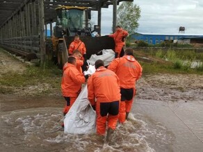 Последствия дождевого паводка в области оказались подтоплены 25 населенных пунктов