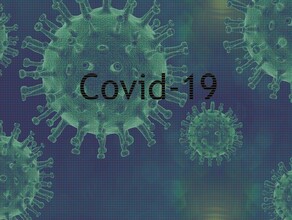 Заболеваемость COVID19 в Амурской области растет четвертый день подряд