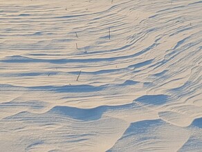 Циклон накроет Амурскую область снегом и ветром прогноз погоды на 16 марта