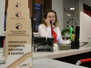 В Приамурье заработала горячая линия для поддержки предпринимателей в условиях антироссийских санкций