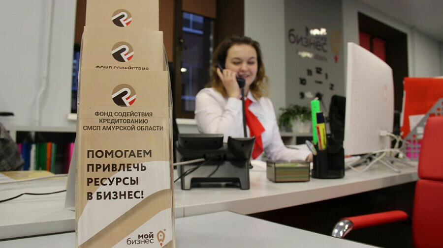 В Приамурье заработала горячая линия для поддержки предпринимателей в условиях антироссийских санкций