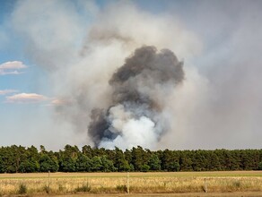 Риск возникновения природных пожаров в Амурской области снизит циклон