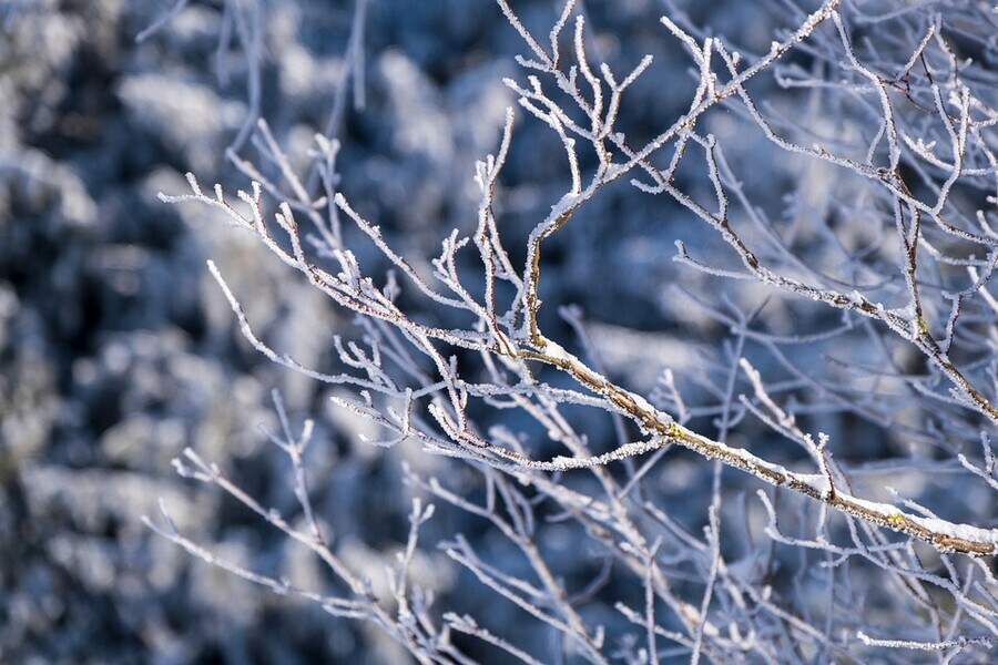 Снег еще погостит в Амурской области прогноз погоды на 17 марта