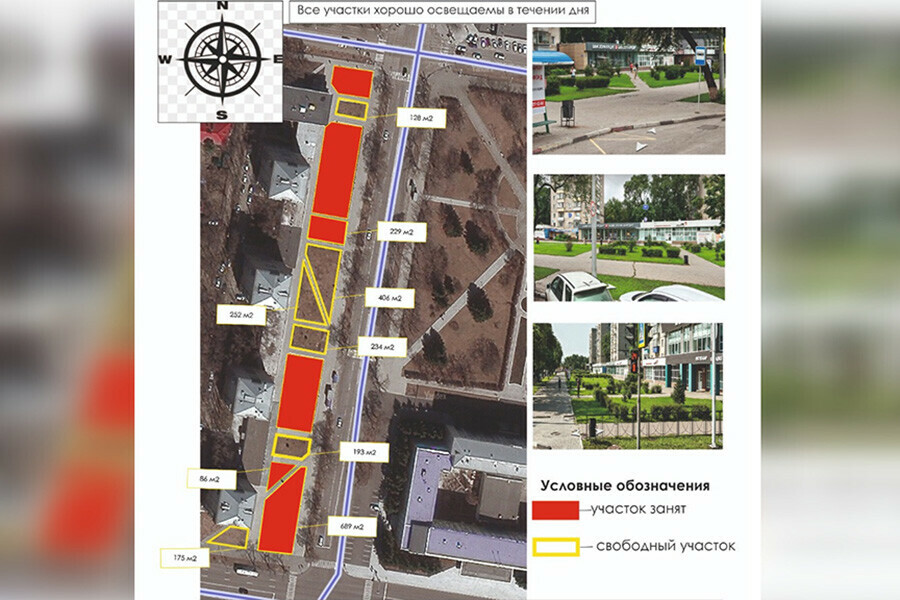 Огромный ковер из цветов появится летом в центре Благовещенска  