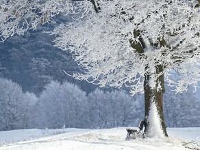 До минус 30 прогноз погоды в Амурской области на 17 марта