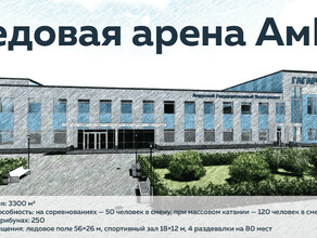 АмГУ выделят 500 миллионов рублей на строительство крытого катка 