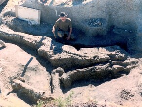 В Амурской области палеонтологи на раскопках динозавров в Архаринском районе смогут выходить в интернет 