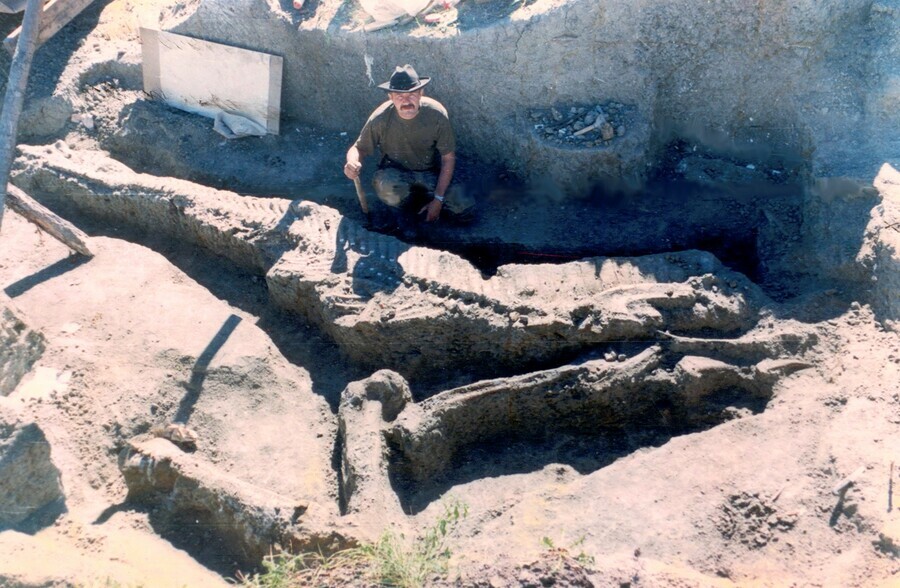 В Амурской области палеонтологи на раскопках динозавров в Архаринском районе смогут выходить в интернет 