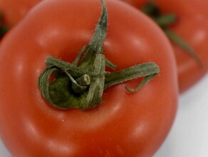 В Амурской области объяснили высокую стоимость помидоров  