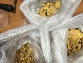 В Амурской области осуждены четверо амурчан похитивших золото стоимостью свыше 14 миллионов рублей фото