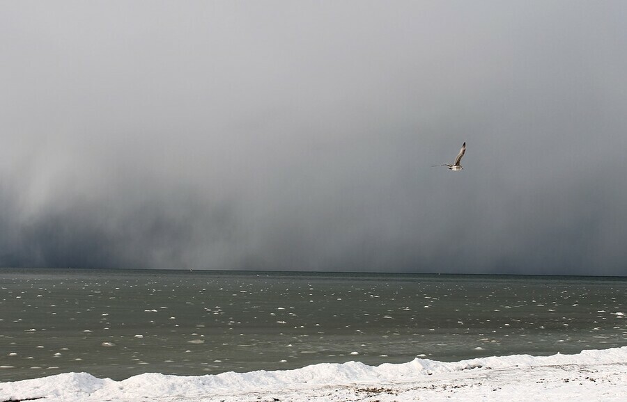 К Амурской области приближается циклон с дождем и снегом прогноз погоды на 24 марта