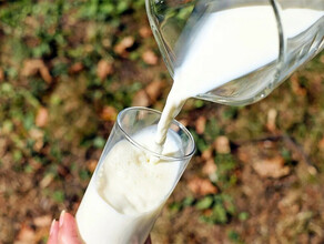 В Амурской области стали производить больше молока 