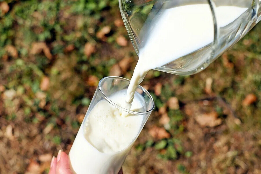 В Амурской области стали производить больше молока 