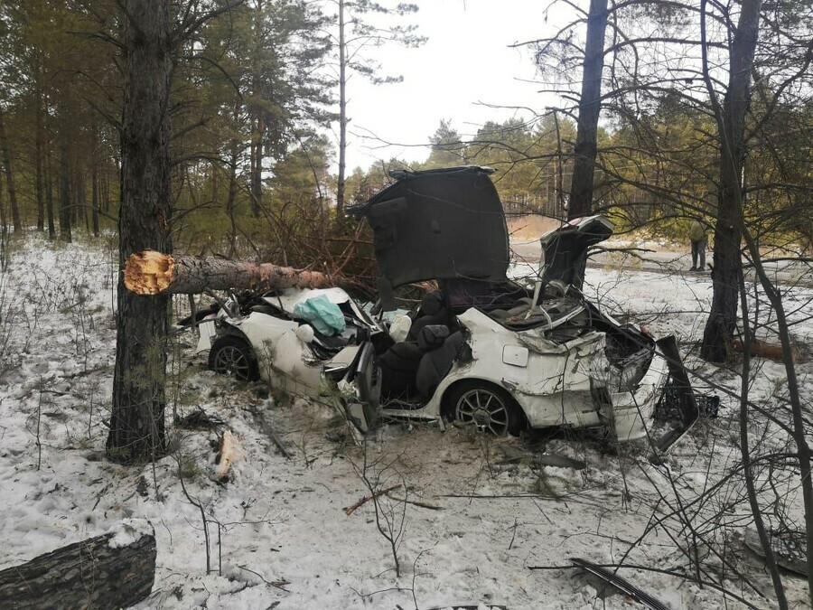 В Свободненском районе два человека погибли в ДТП с деревом фото 