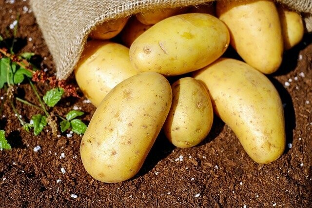 Вместо картошки  семена социального оптимизма известный экономист сообщил что картофель в Амурской области может сильно подорожать 