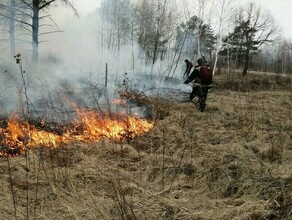 В Амурской области за сутки ликвидировали 12 возгораний сухой растительности
