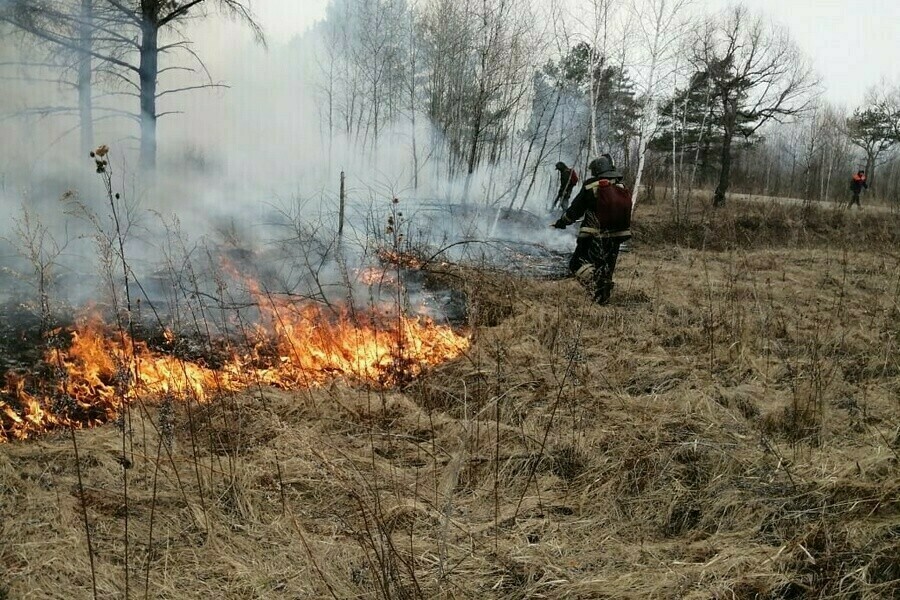 В Амурской области за сутки ликвидировали 12 возгораний сухой растительности