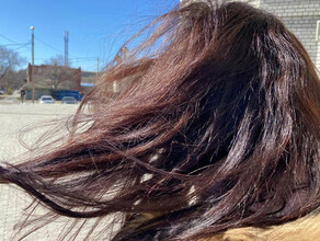 В Амурской области 5 апреля разыграется сильный ветер 