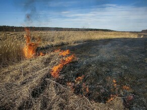 Амурчанам напоминают в области действует особый противопожарный режим