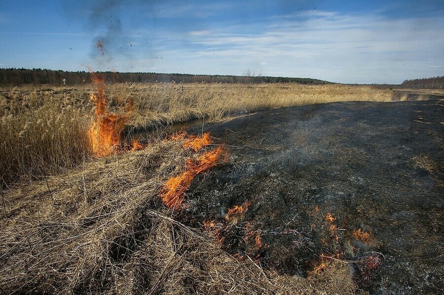 Амурчанам напоминают в области действует особый противопожарный режим