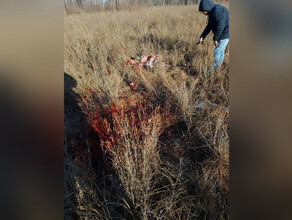В Зейском районе задержали браконьеров с убитыми косулями