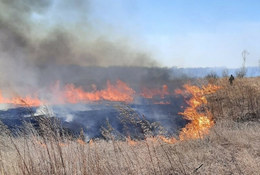 За сутки в Амурской области ликвидировано 11 природных пожаров