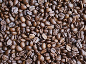 В Минздраве развенчали популярный миф о кофеине