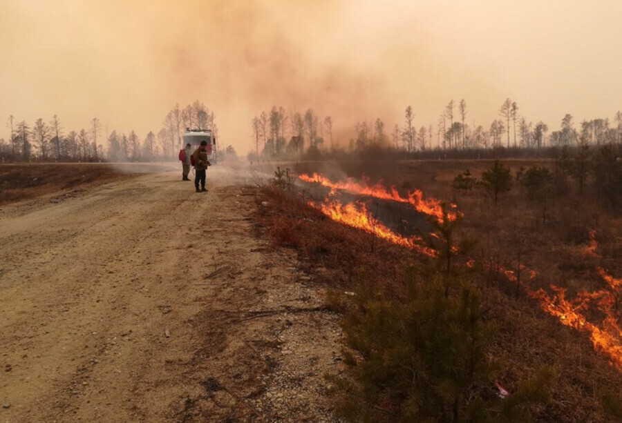 За сутки в Амурской области ликвидировали семь возгораний сухой растительности