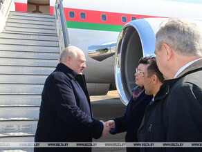 Встреча президента Беларуси и мэра Благовещенска у трапа самолета попала на видео