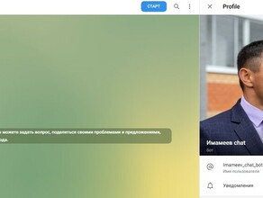 У мэра Благовещенска появился chatбот для сбора жалоб и предложений горожан