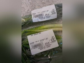Точно не мраморная говядина в Благовещенске продают зеленый лук стоимостью 910 рублей за килограмм 