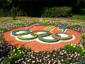 Робот ВАЛЛИ и олимпийские кольца артобекты из цветов появятся в центре Благовещенска