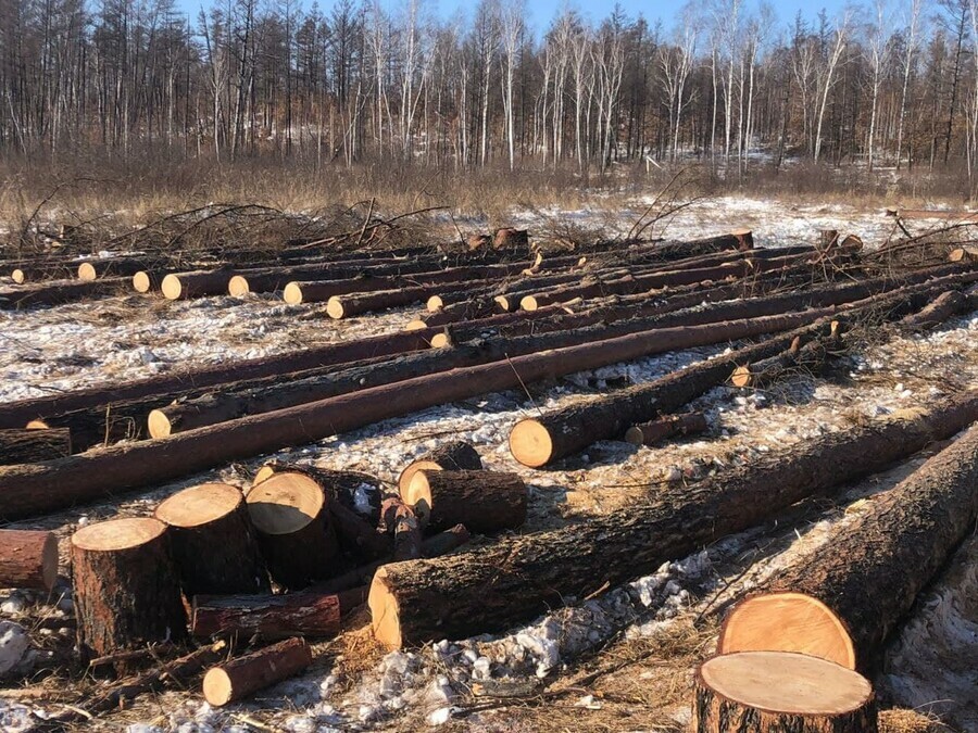 Сотрудники УФСБ выявили в Амурской области нарушения закона с ущербом свыше 19 миллионов фото