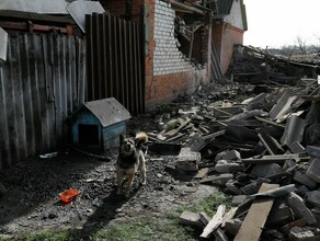В Белгородской области более 75 домов пострадали от обстрелов