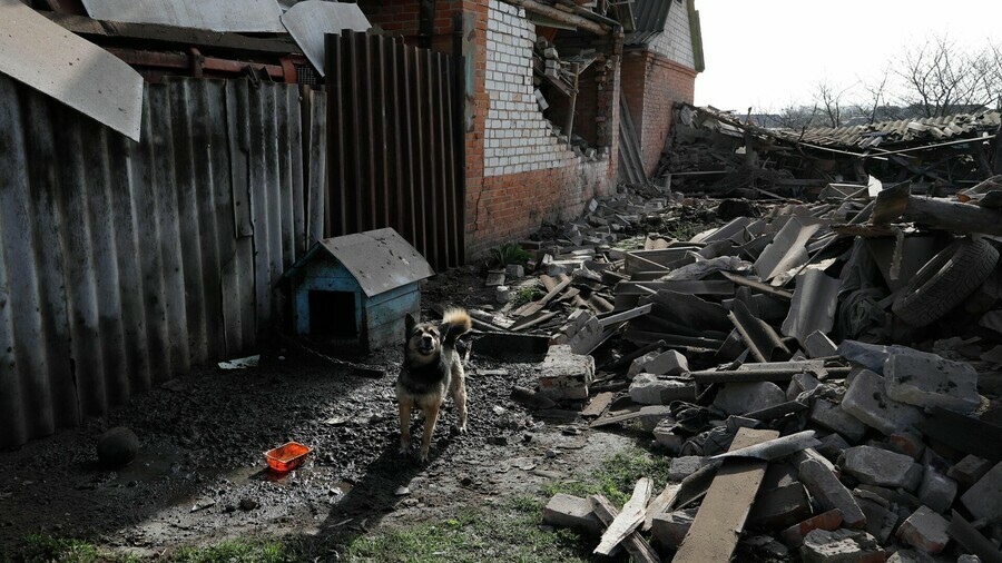 В Белгородской области более 75 домов пострадали от обстрелов