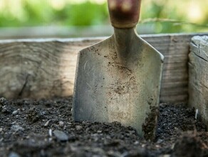 Жительница Благовещенска за месяц сделала 6 закладок и купила взрывное устройство Что ей грозит