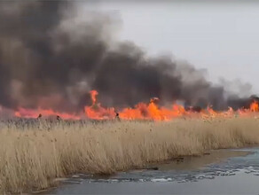 Двум поджигателям травы в Сковородинском районе выписали штрафы Скоро наказание ужесточат видео