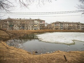 В Благовещенске у озера в Плодопитомнике расчищают территорию фото 