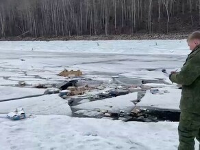 Тела утонувших на Зейском водохранилище людей до сих пор не найдены Кто будет их искать видео