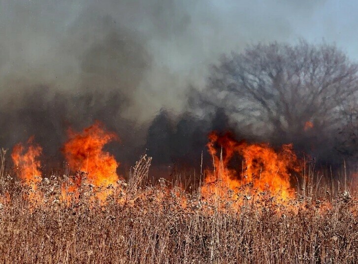 В амурском селе четвероклассник устроил пал и едва не спалил жилые дома