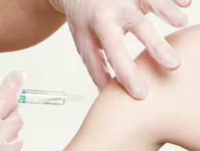 От COVID19 в Амурской области привито более 63  от подлежащих вакцинации подростков