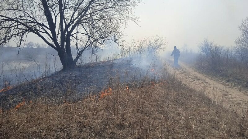 Режим ЧС ввели в Зейском районе изза пожаров