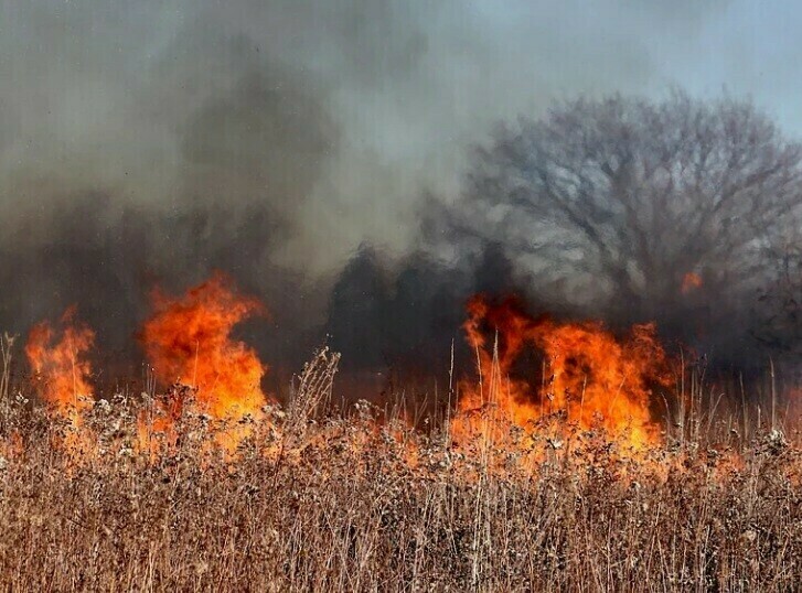 В Амурской области за сутки зарегистрировано более 100 новых пожаров