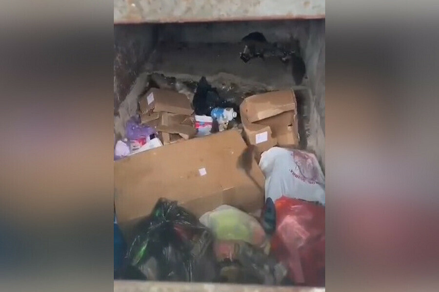 В Тынде сняли на видео общедомовой мусороприемник который буквально кишит крысами видео