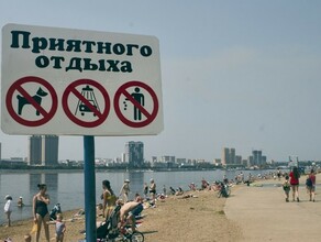 В популярных местах отдыха на реках Благовещенска вода не соответствует нормам