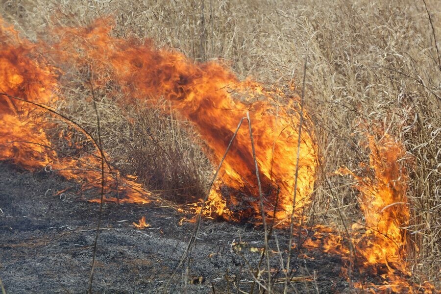 Приамурье продолжает гореть высокий класс пожарной опасности сохраняется в Благовещенском районе 