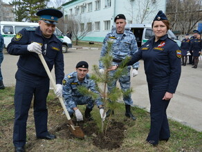 В Благовещенске двоеборцыдальневосточники заложили сосновую аллею фото