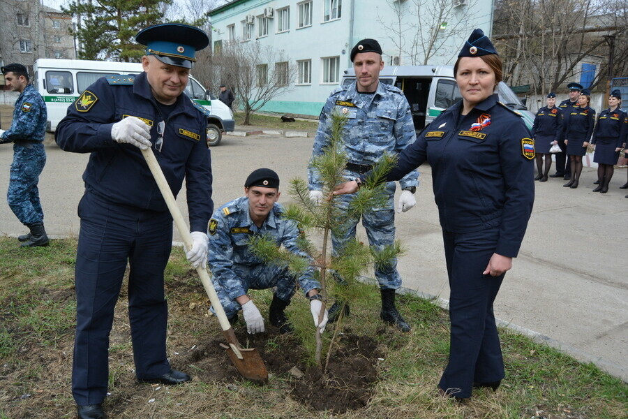 В Благовещенске двоеборцыдальневосточники заложили сосновую аллею фото